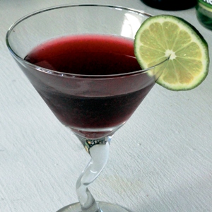Lemon Slice Garnish